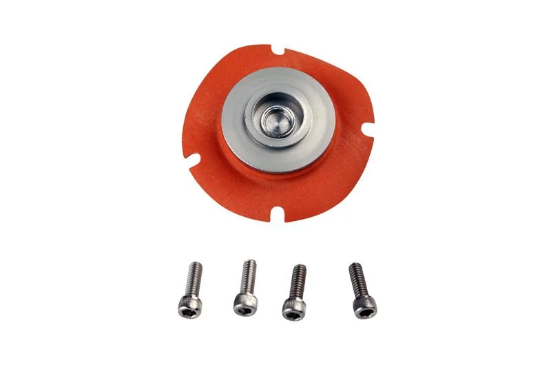 fassmotorsports113660171