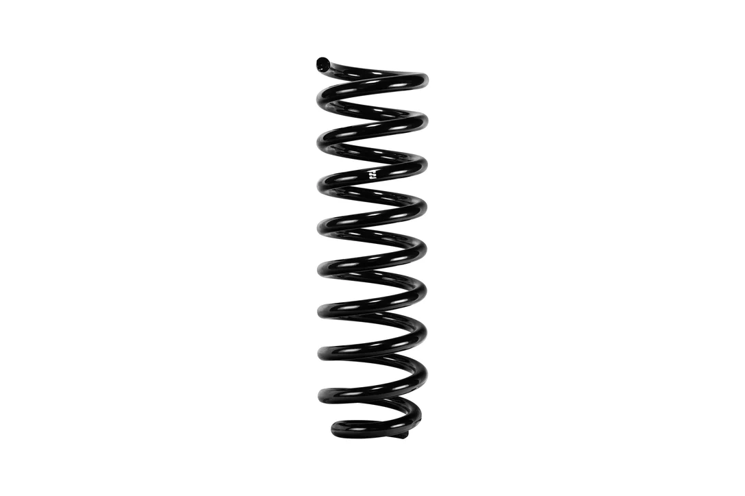 fassmotorsports133681446