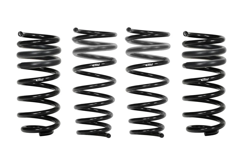 fassmotorsports33702009