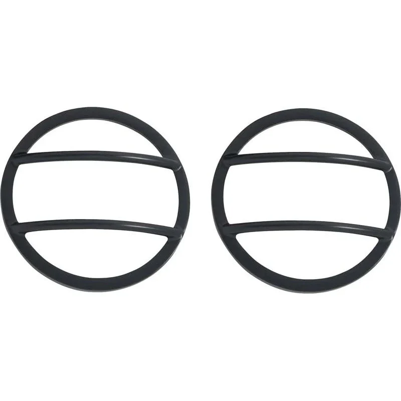 fasthemis23622431