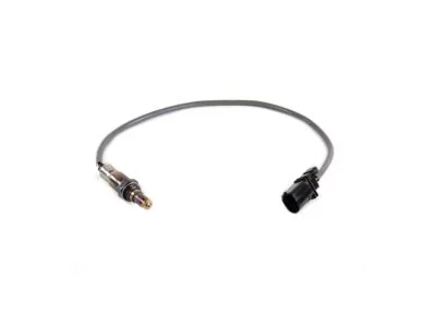 moparpartsgiant12-4396426