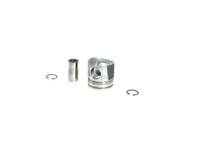 moparpartsgiant14-4260513